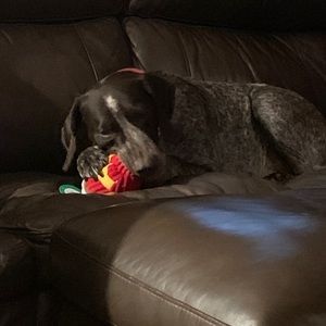 Meet your Posher, Marinell